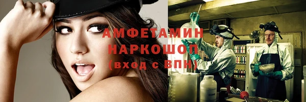винт Новозыбков