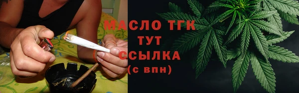 индика Тайга