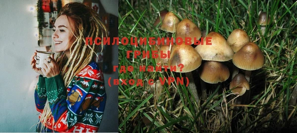 а пвп мука Новодвинск