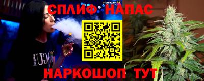 прущие грибы Беслан