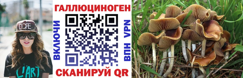 Псилоцибиновые грибы Magic Shrooms  Кизляр 