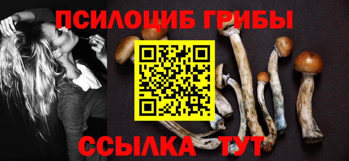Псилоцибиновые грибы GOLDEN TEACHER  Вход с VPN  Псилоцибиновые грибы прущие грибы  Кизляр 